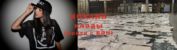 ALPHA PVP Няндома