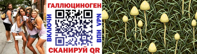 Псилоцибиновые грибы прущие грибы mega зеркало Раменское