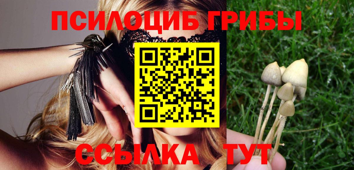 Псилоцибиновые грибы мицелий  Псилоцибиновые грибы ЛСД  Вход с VPN  Раменское 