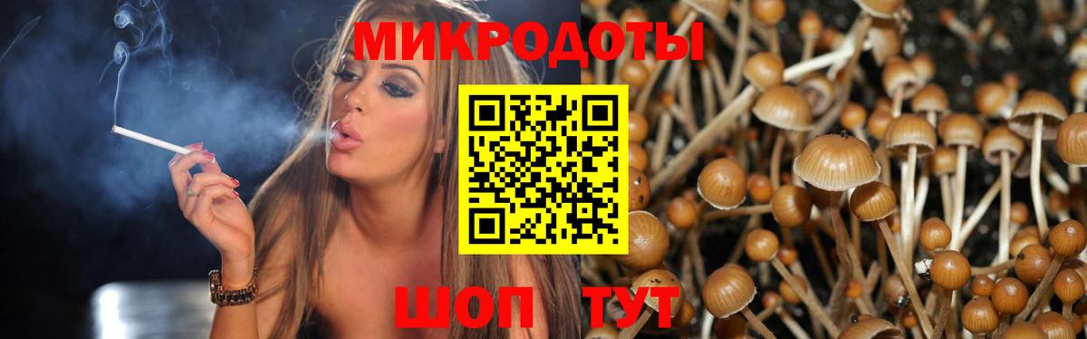 Галлюциногенные грибы мухоморы Раменское